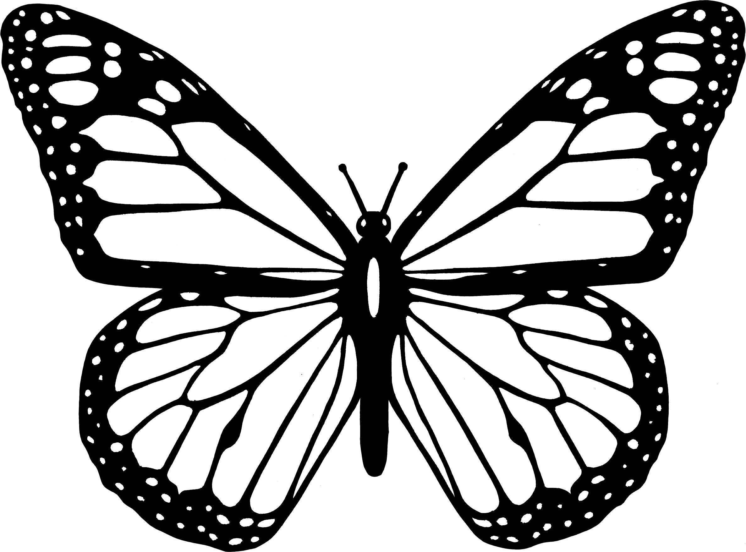 Black And White Butterfly png icons