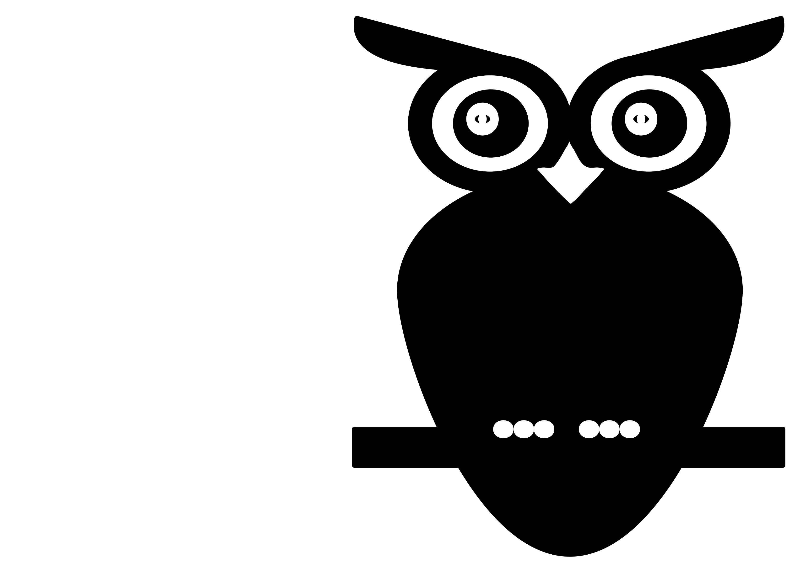 Black and White Owl png
