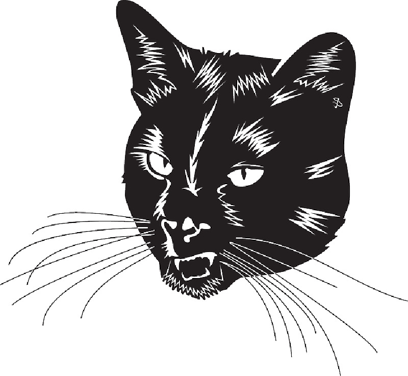 Black Cat Head With Whiskers icons