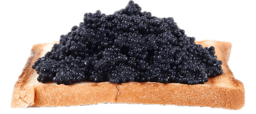 Black Caviar on Toast icons