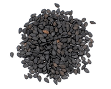 Black Sesame Seeds png icons