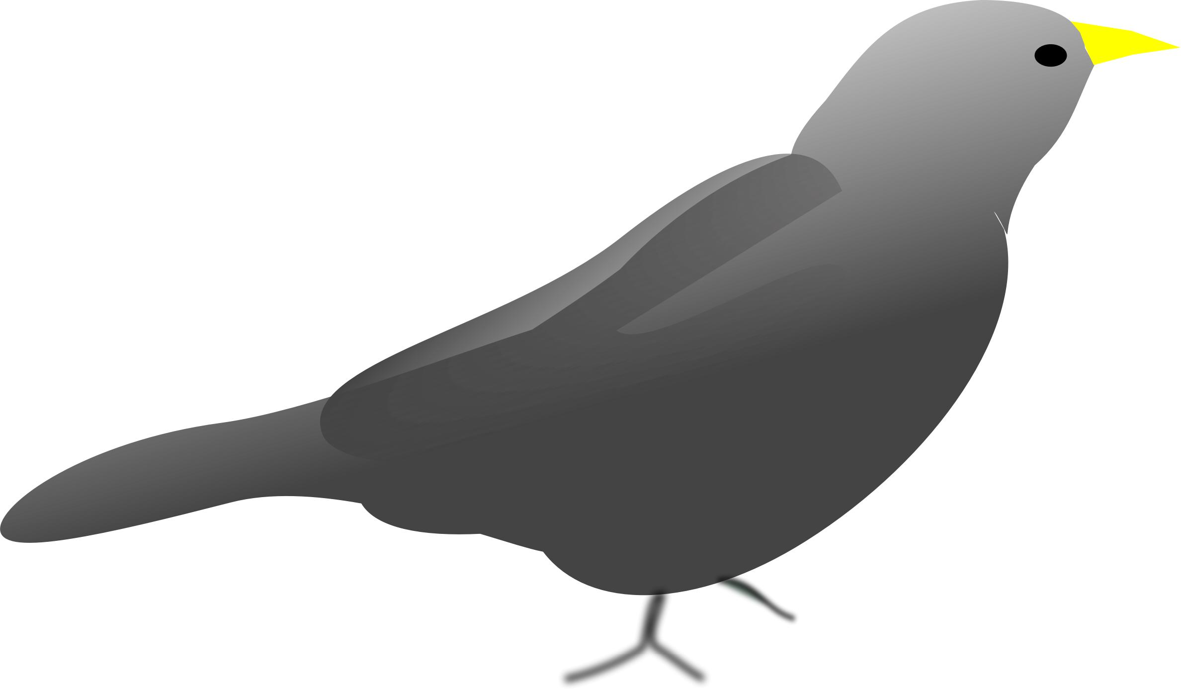 Blackbird1 PNG icons