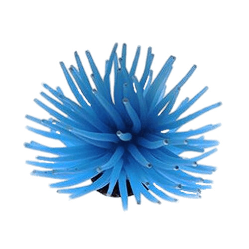Blue Sea Anemone PNG icons