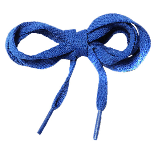 Blue Shoe Laces Tied In A Bow png