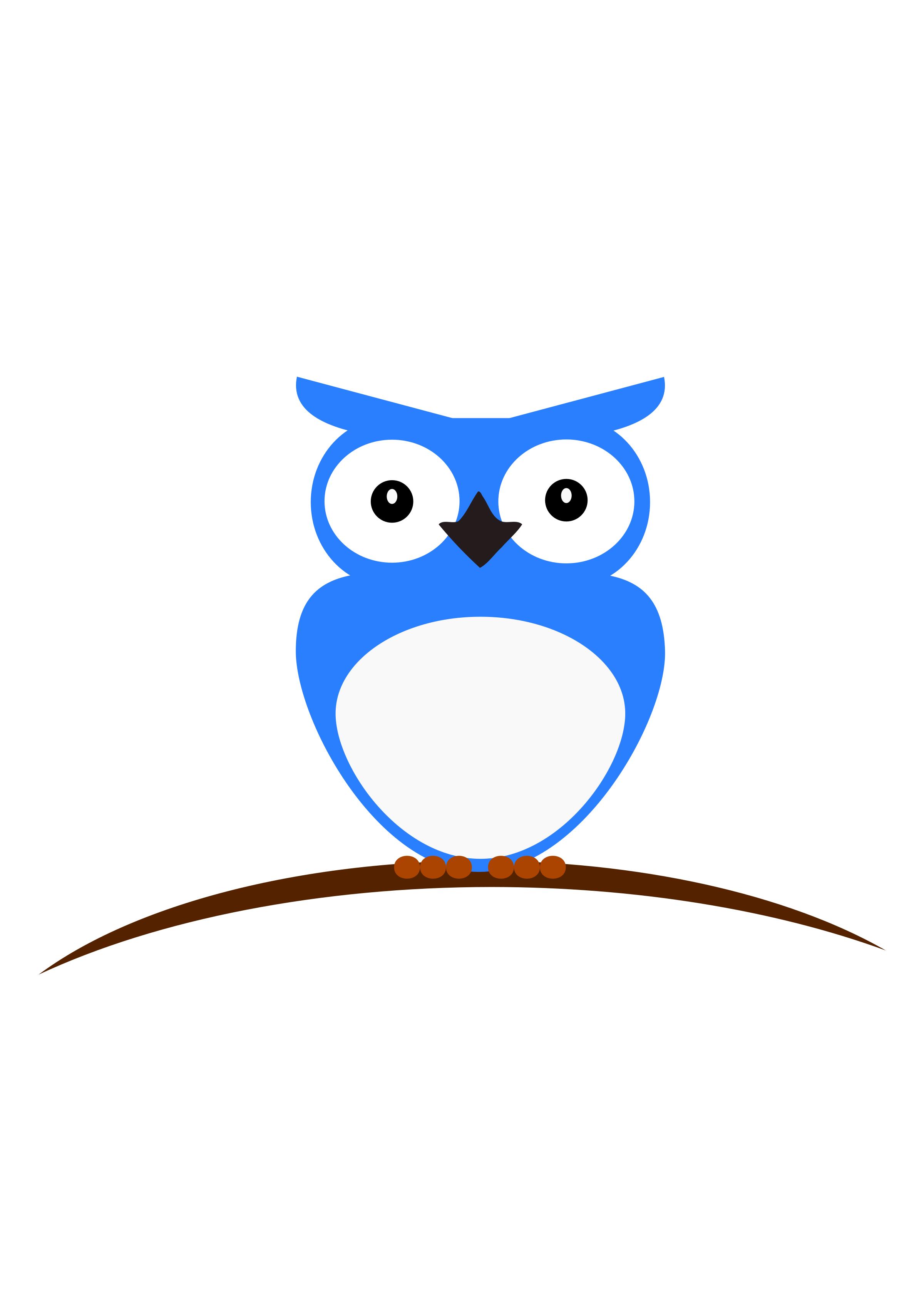 Blue & White owl png