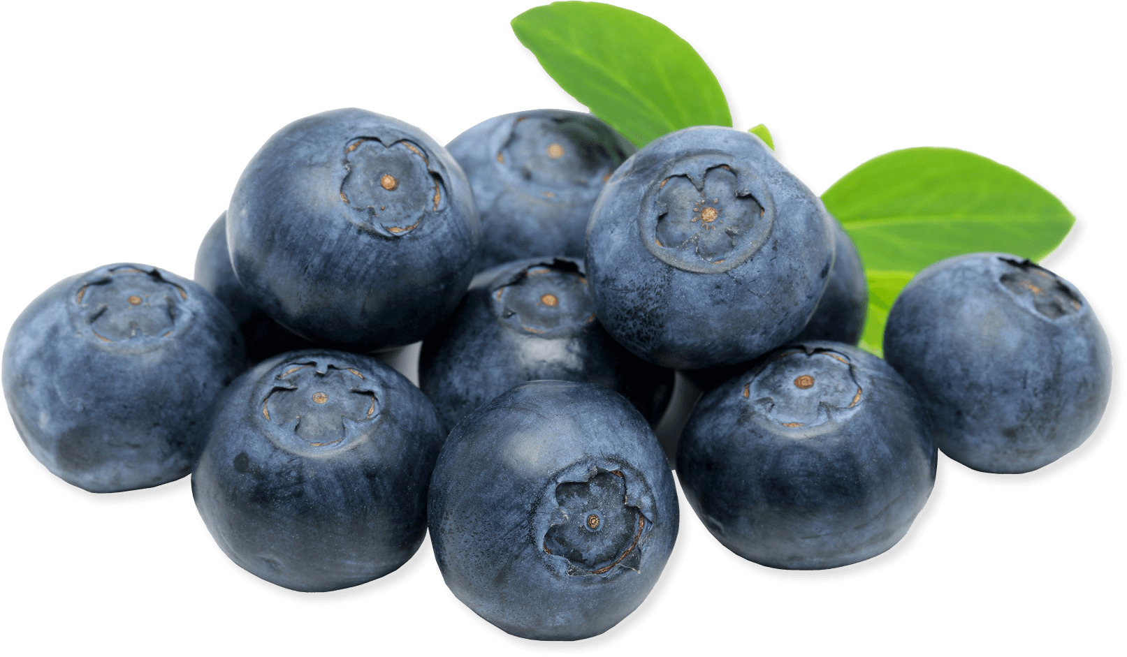 Blueberries Close Up png icons