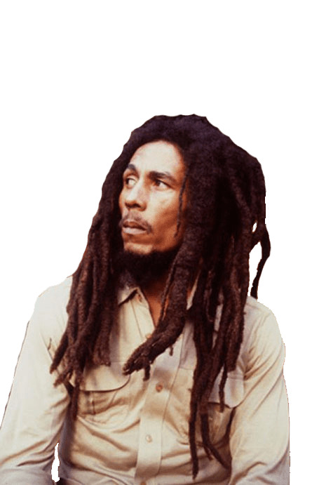 Bob Marley Looking Left icons
