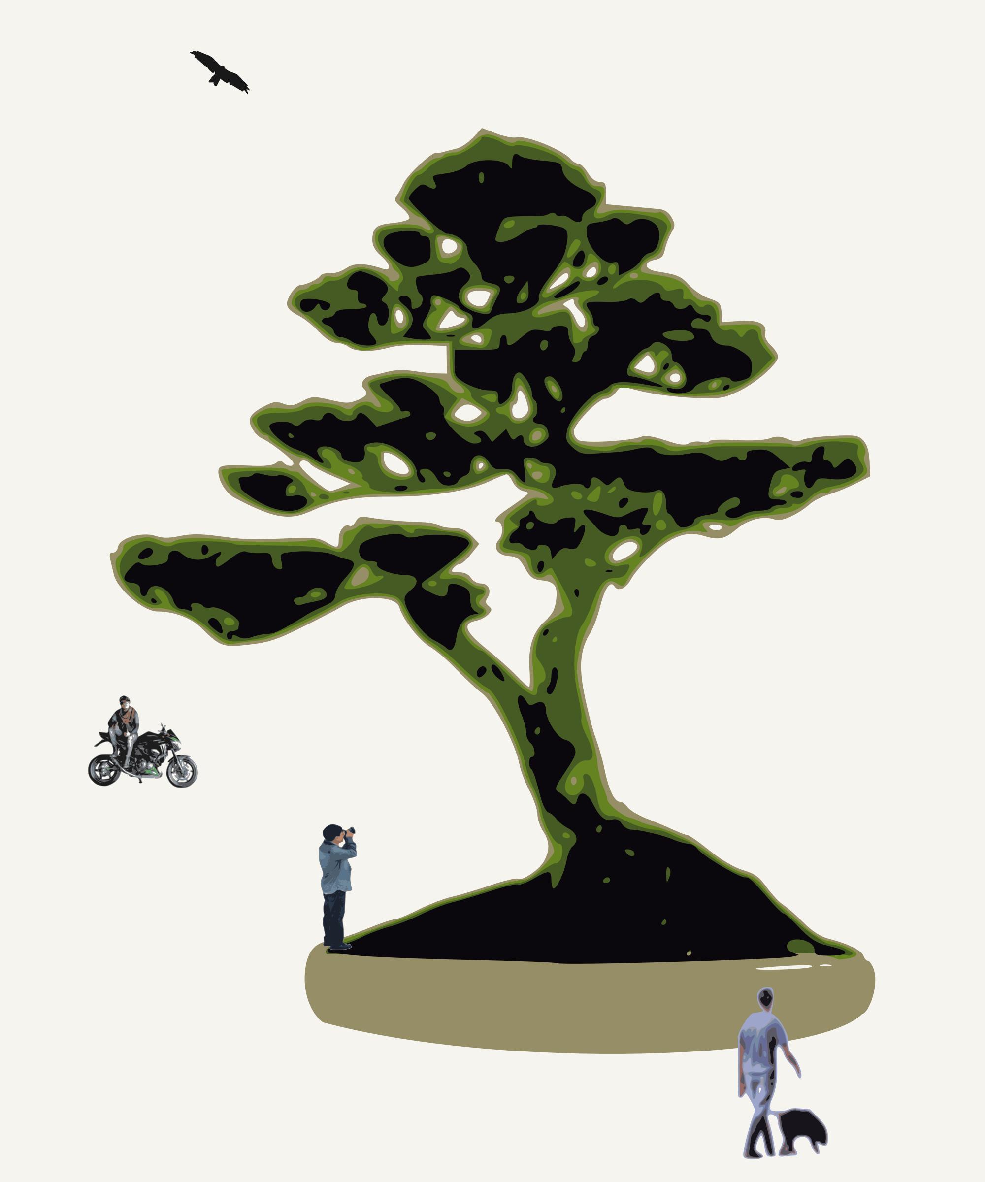 bonsai with figures png