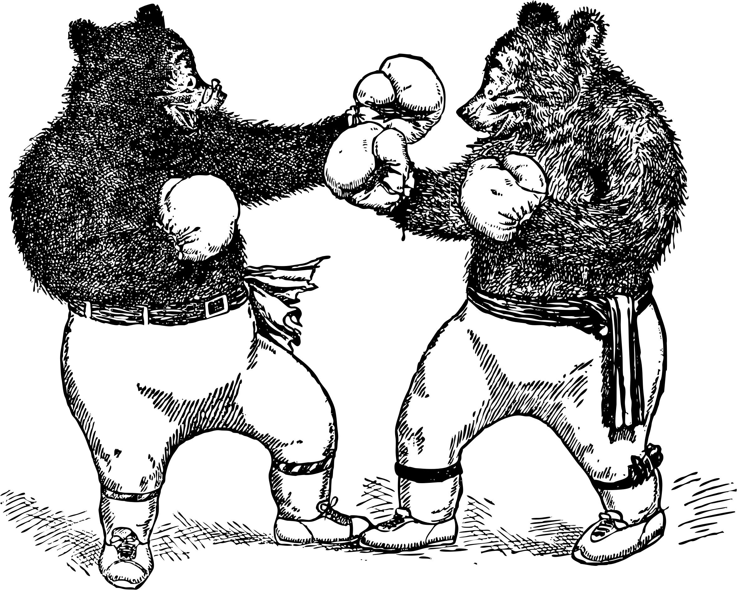 Boxing Bears png