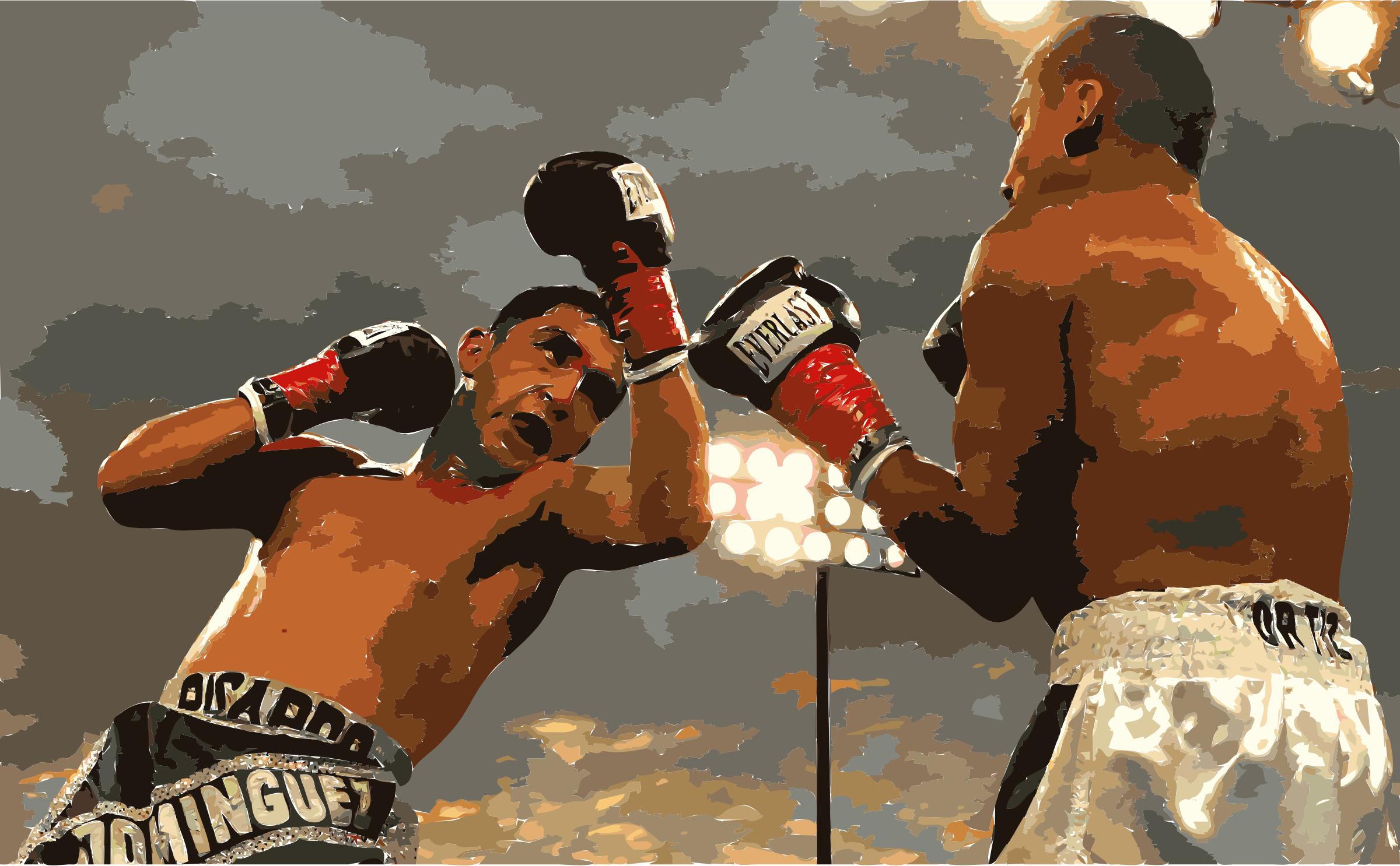 Boxing080905 photoshop png