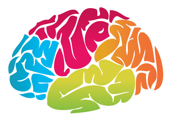 Brain Colour Drawing png icons