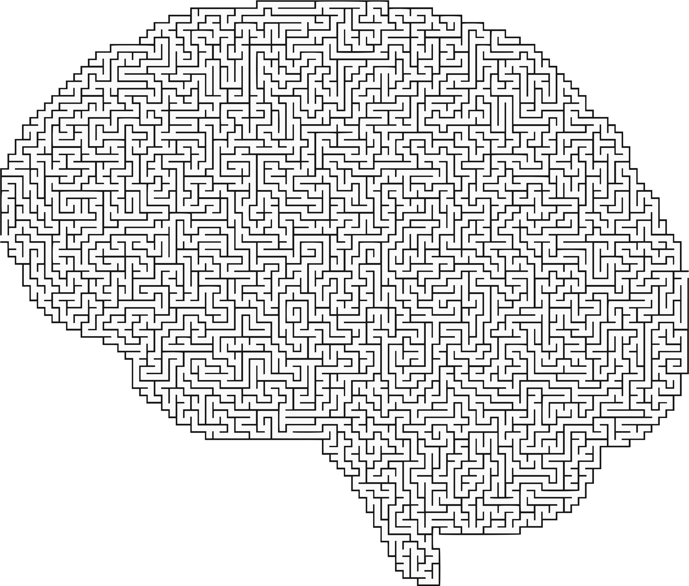 Brain Maze png