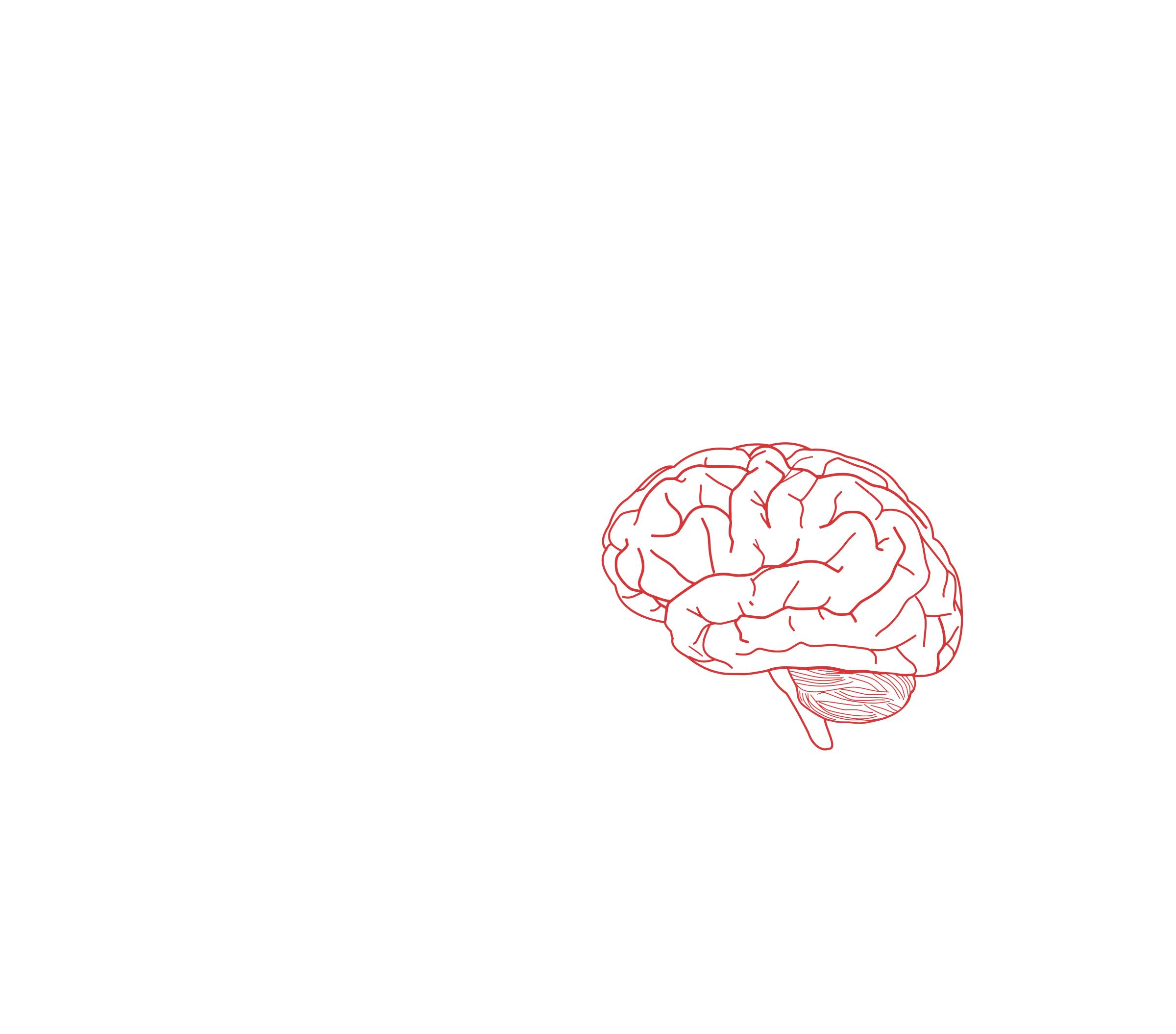 brain profile 2 PNG icons