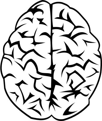 Brain vector png icons
