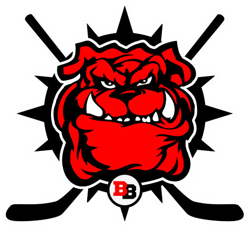 Brewster Bulldogs Logo icons
