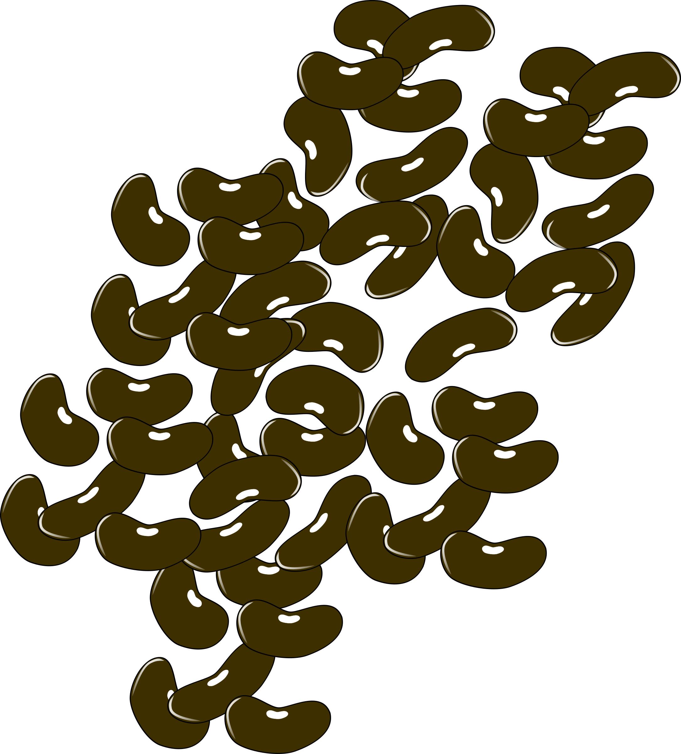 brown beans png