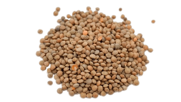 Brown Lentils png icons