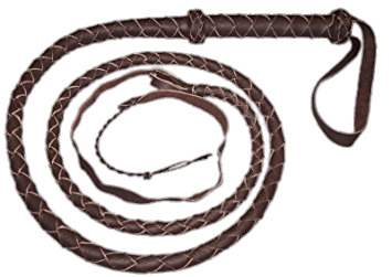 Brown Whip png icons