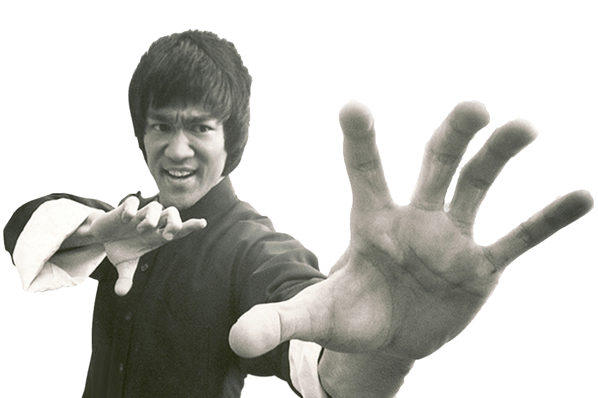 Bruce Lee Black and White png icons