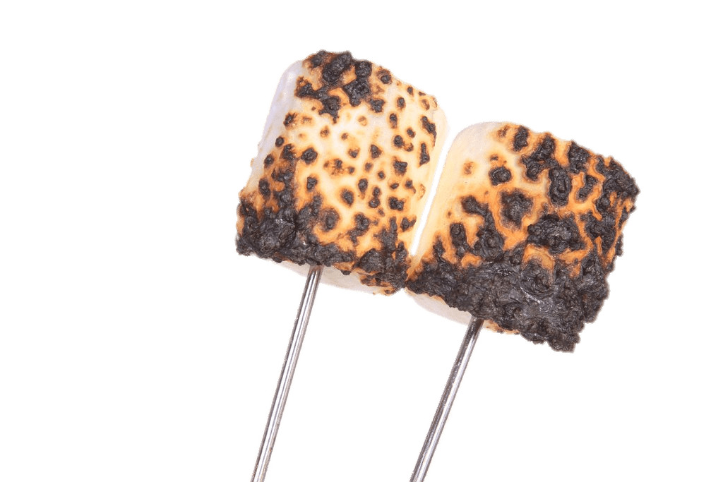 Burnt Marshmallows on Stick png icons