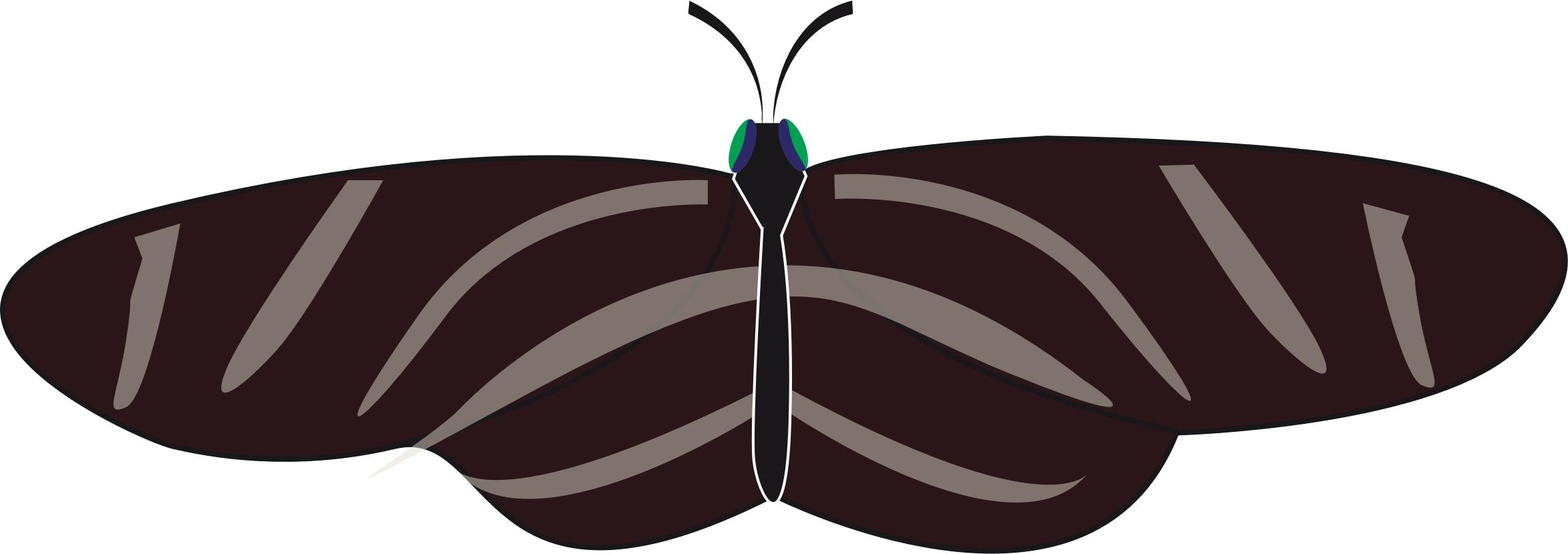 butterfly zebra long wing PNG icons