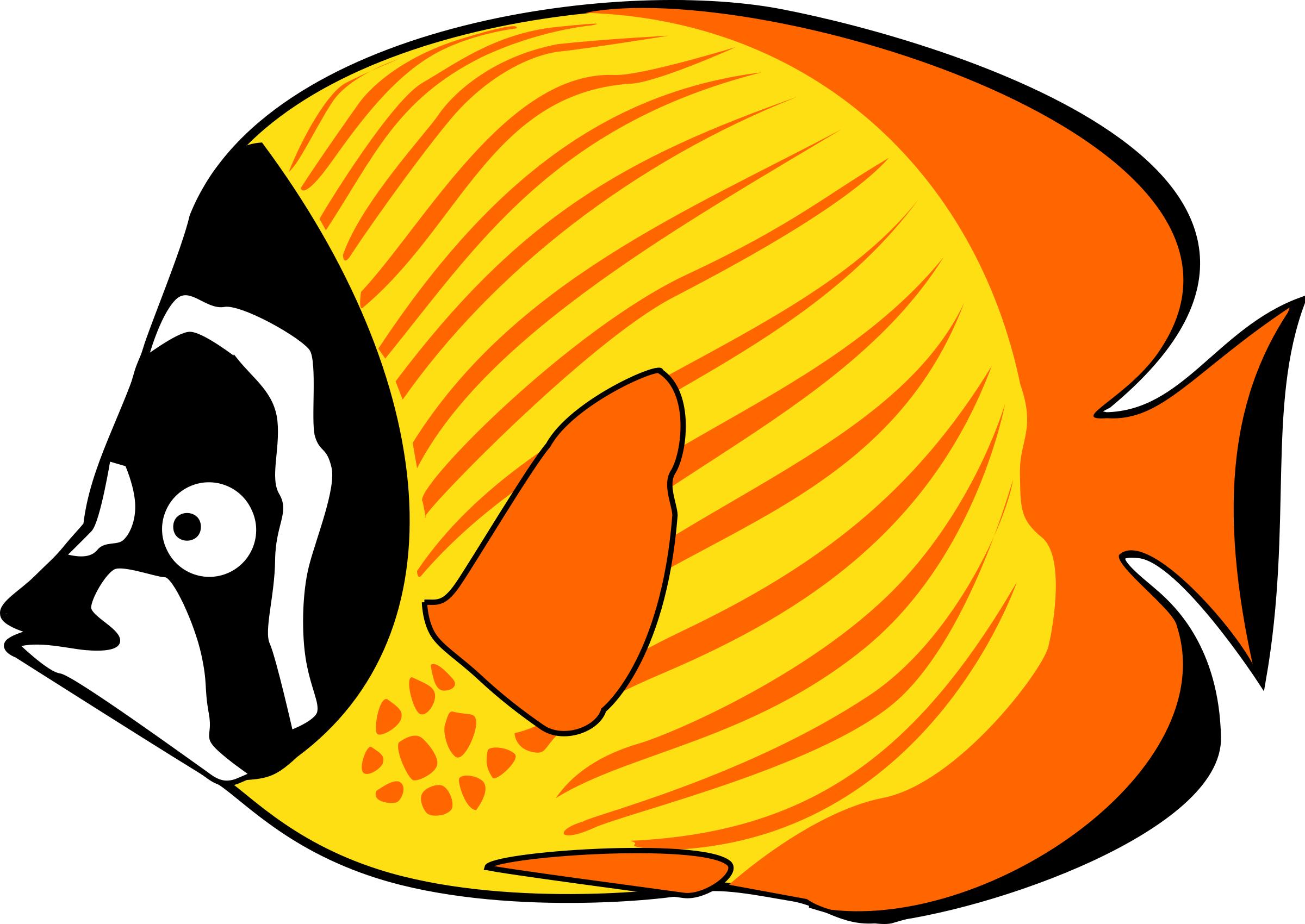 butterflyfish png