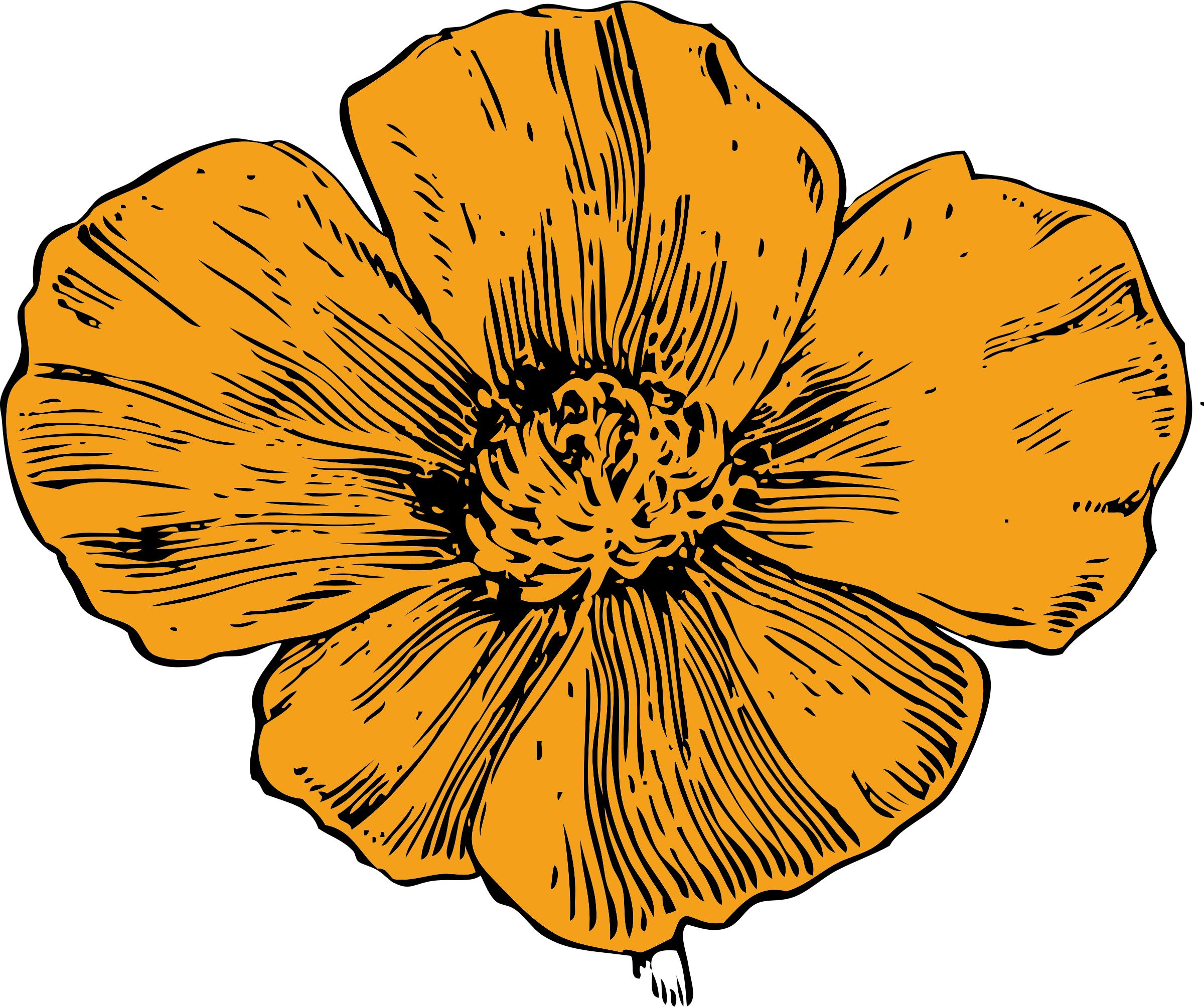 California Poppy PNG icons