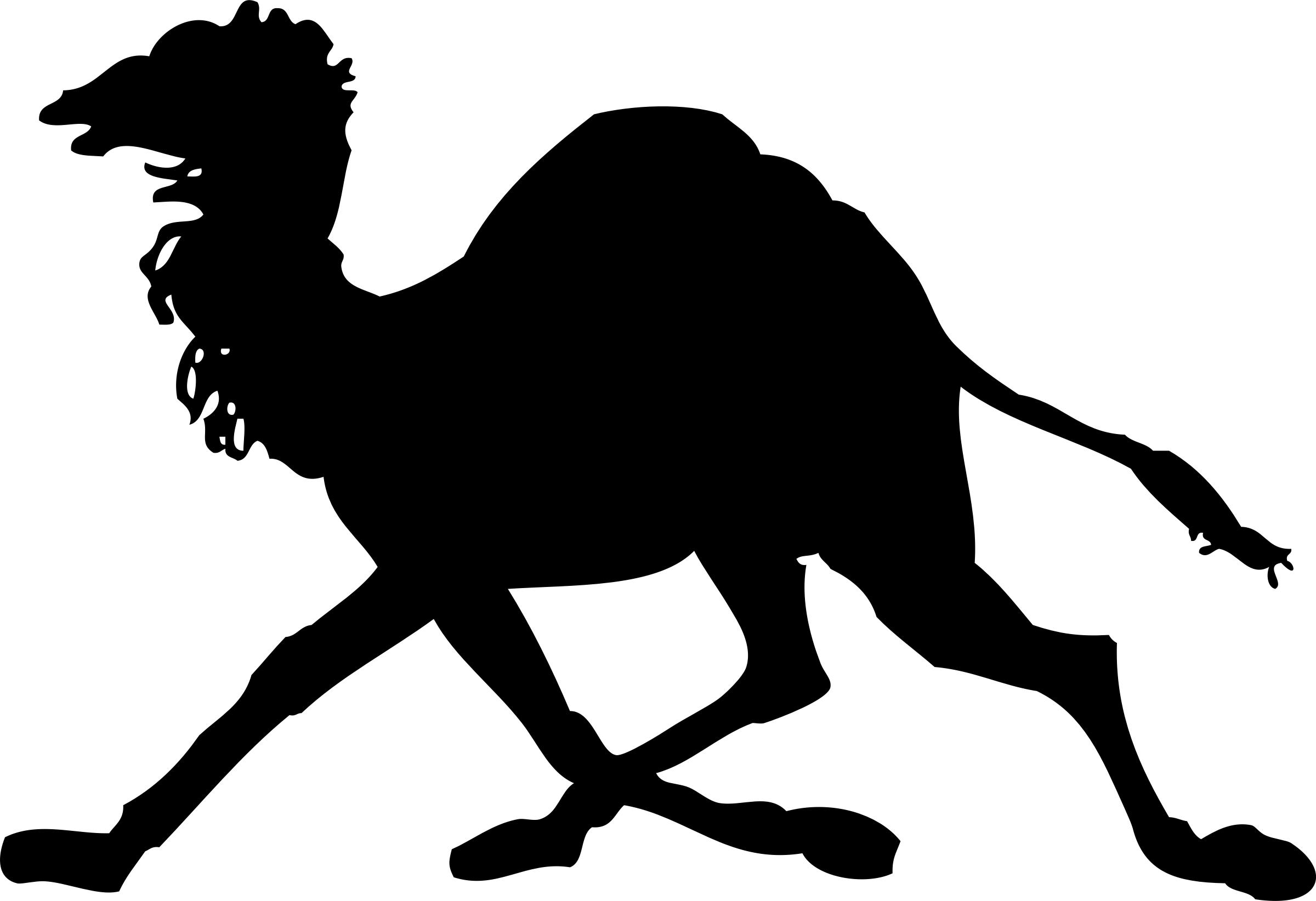 Camel Silhouette png