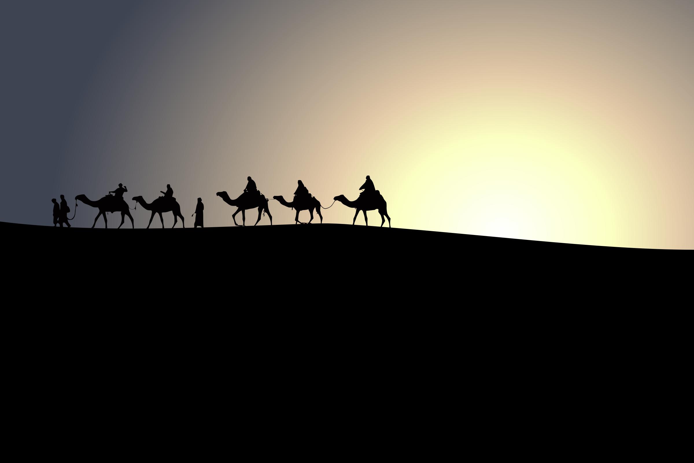 Camels Caravan png