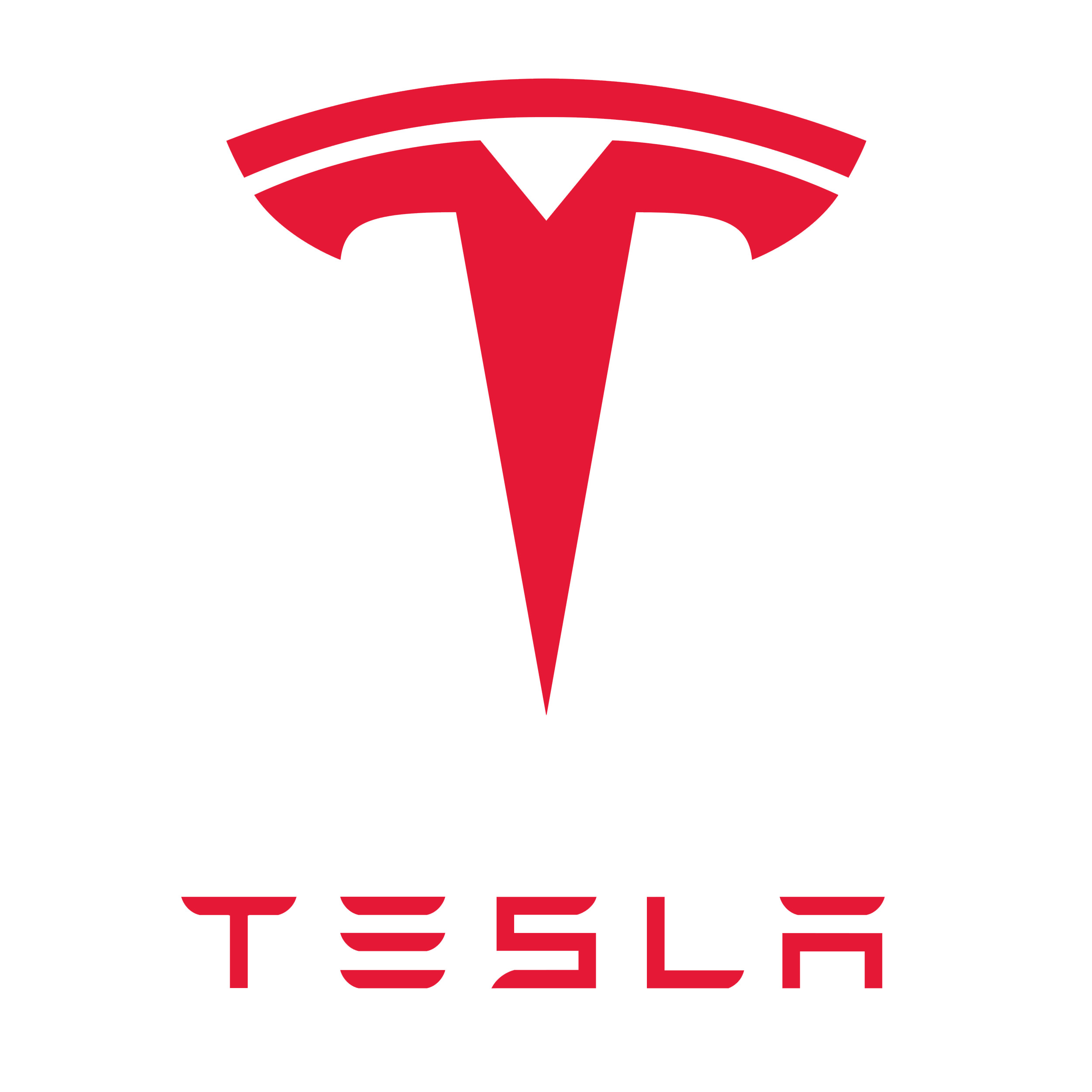Car Logo Tesla icons