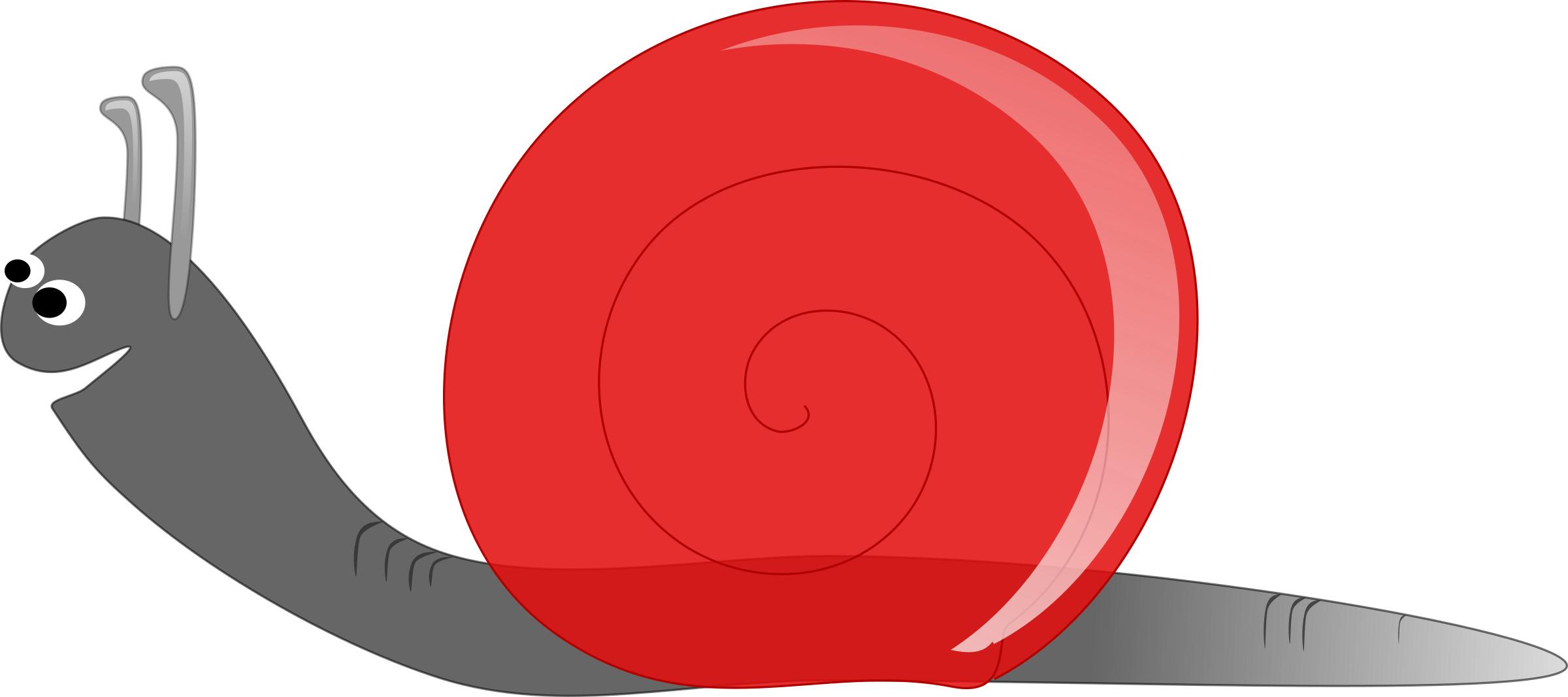 Caracol / Snail png