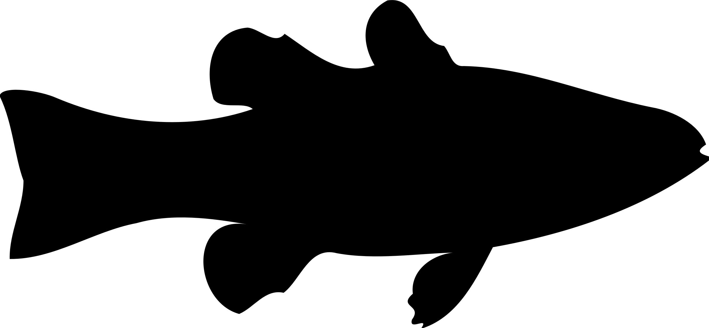 Cardinalfish (silhouette) png