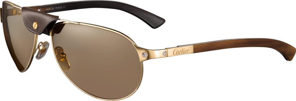 Cartier Sunglasses icons