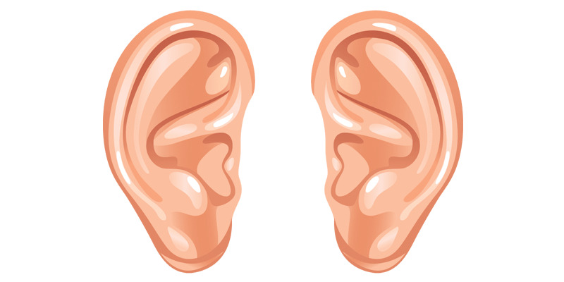 Cartoon Ears icons