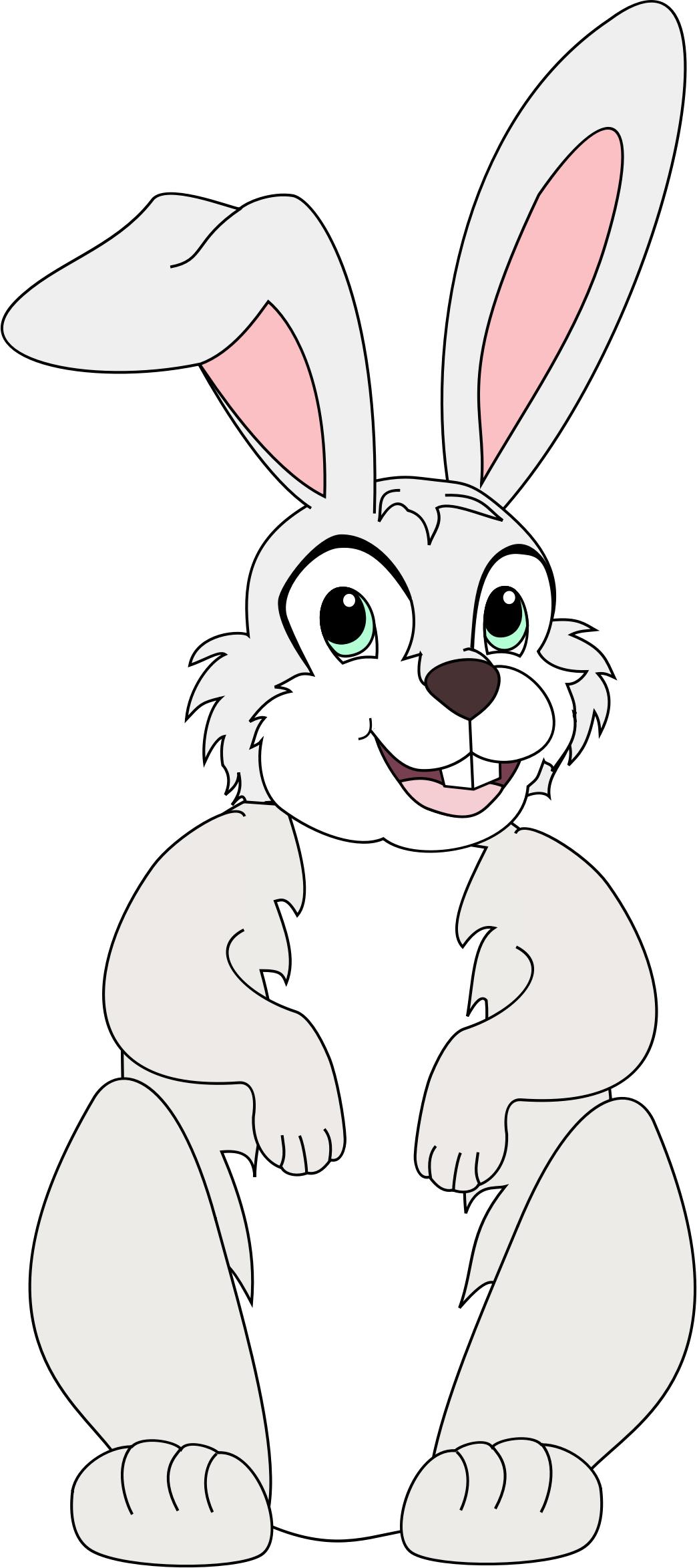 Cartoon Rabbit png