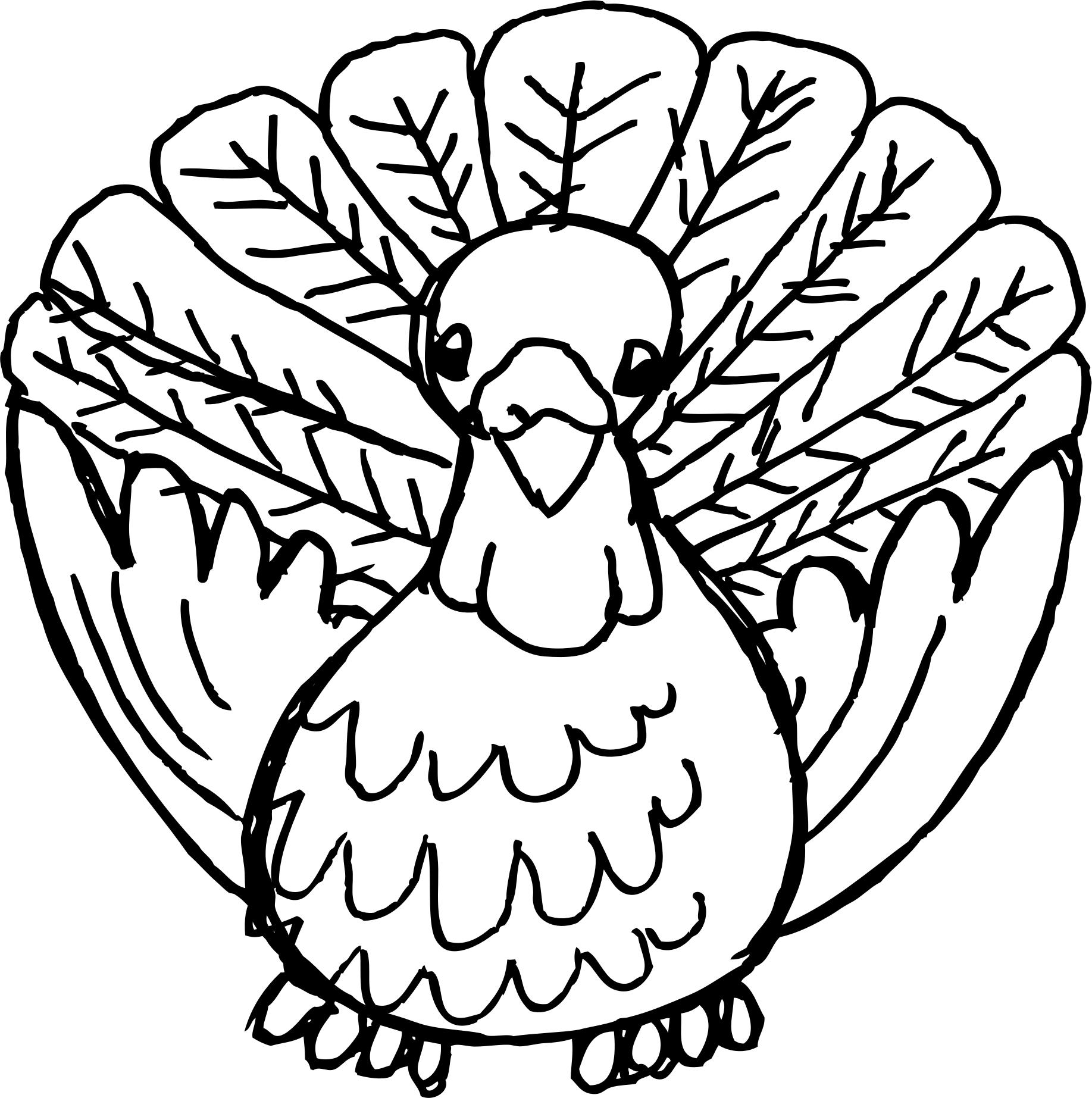 Cartoon Turkey Clipart Outline png