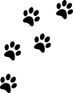 Cat Paw Prints png icons