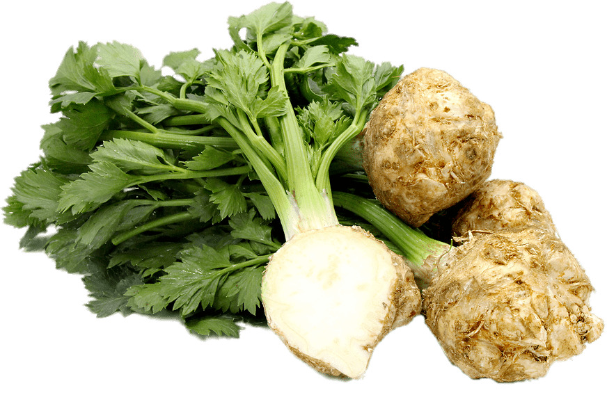 Celery Root png icons