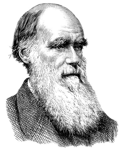 Charles Darwin Black and White Drawing png icons
