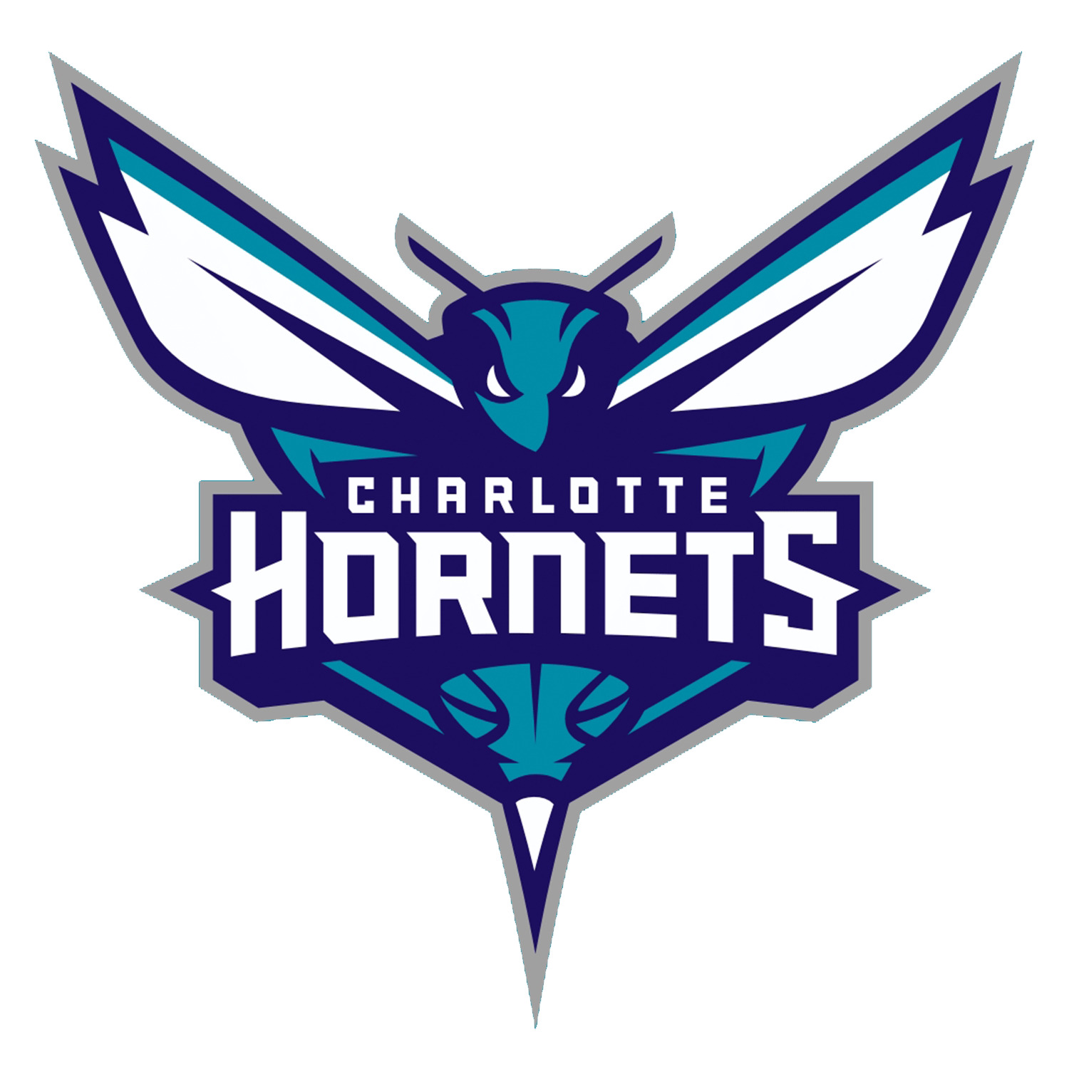 Charlotte Hornets Logo icons