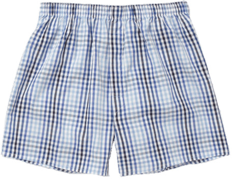 Checkered Boxer Shorts png