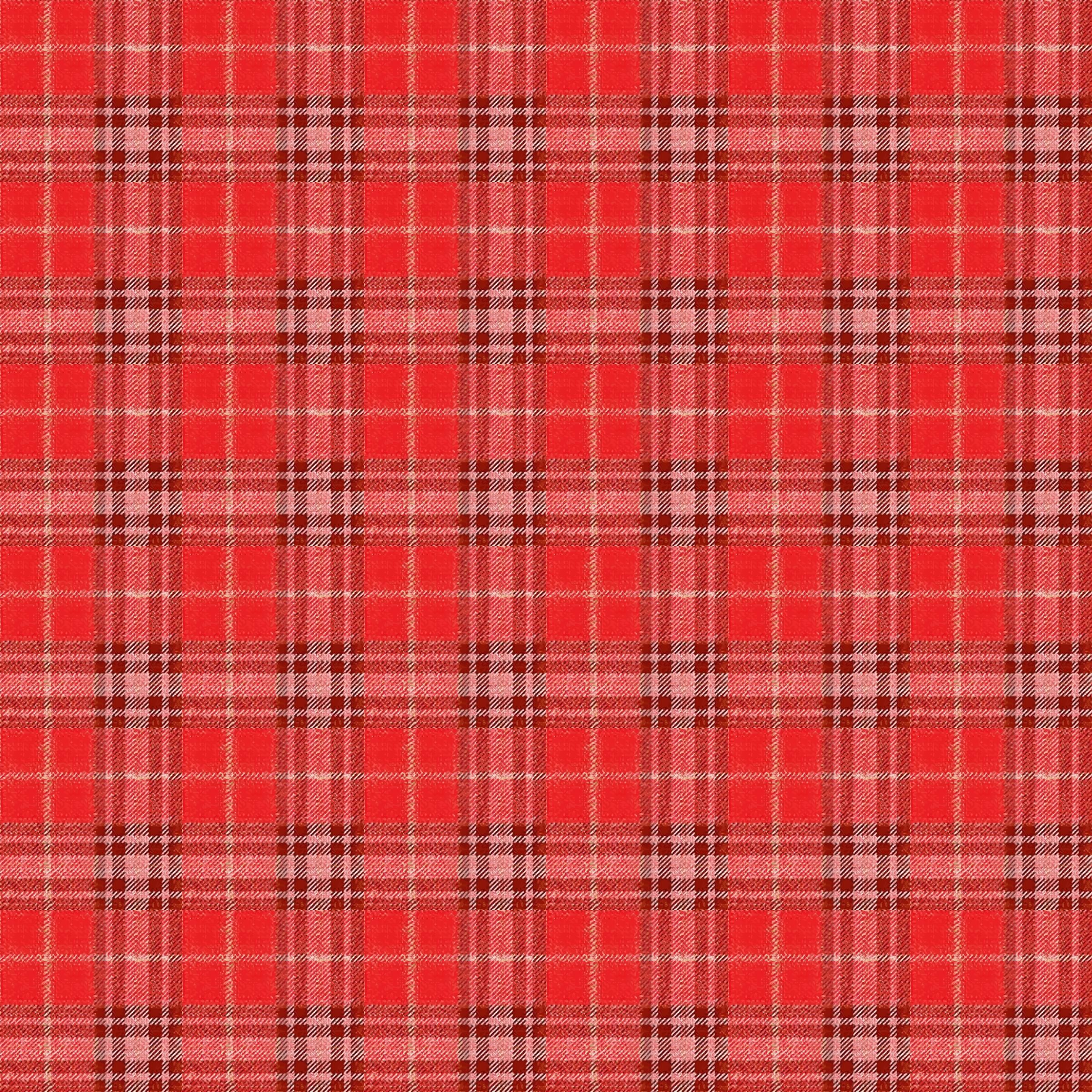 Chequered tablecloth 2 png
