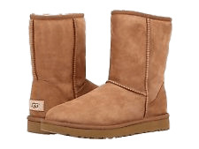 Chestnut Winter Boots UGG png icons