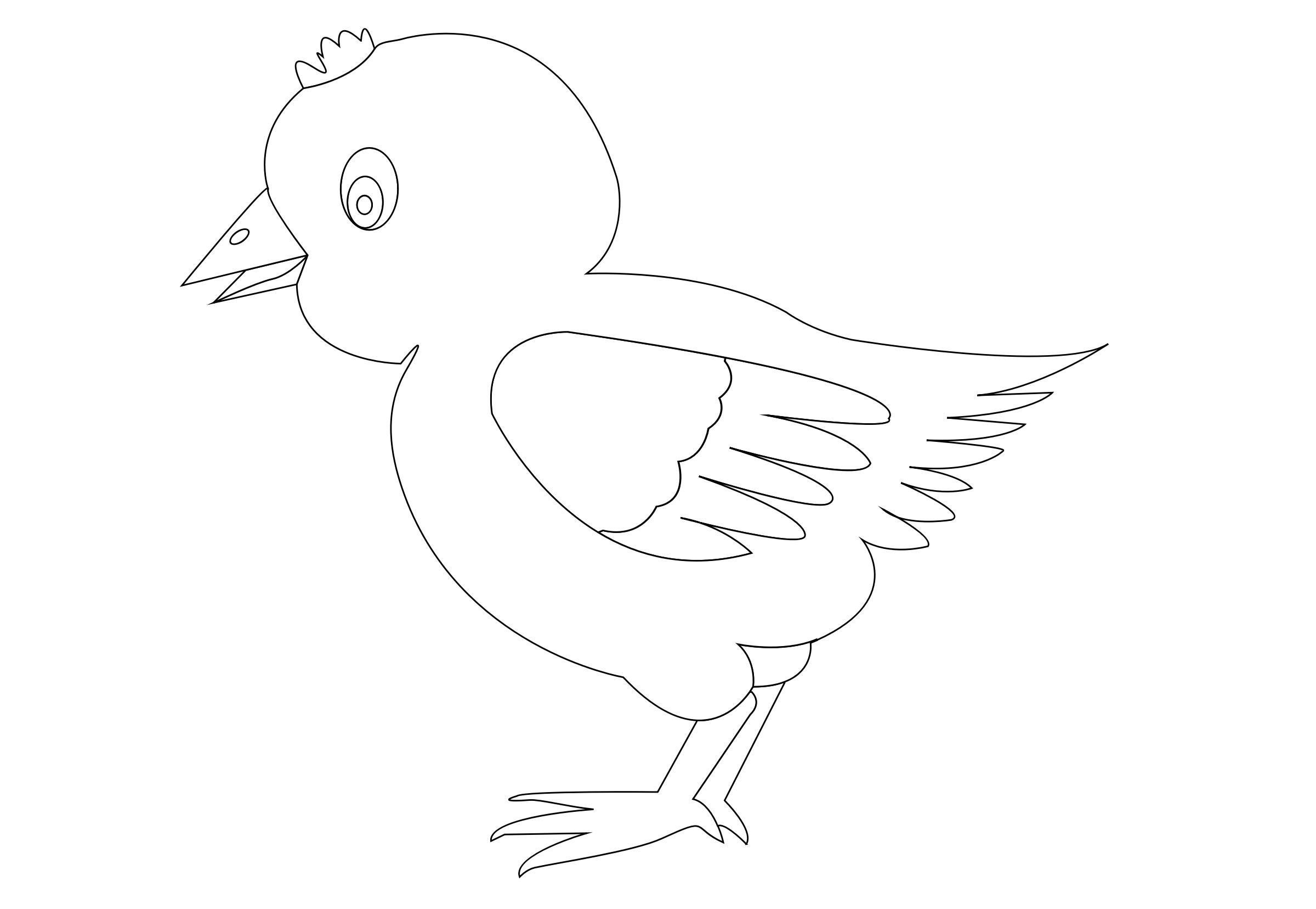 chicken-002-vector-coloring png
