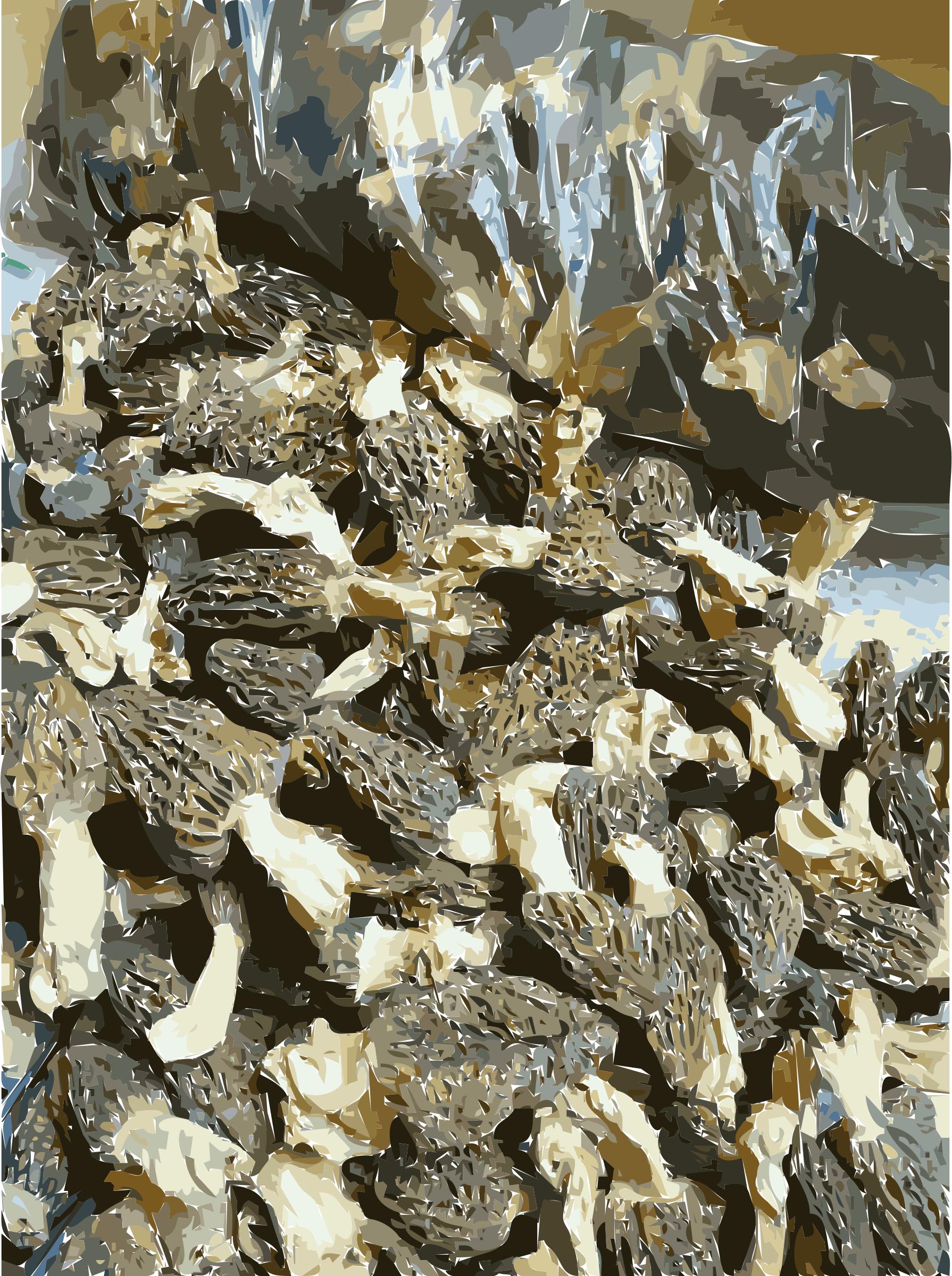 Chinese factory directly supply dry mushroom - Porcini, Shiitake, Champignons 1 png