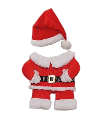 Christmas Outfit For Dogs png