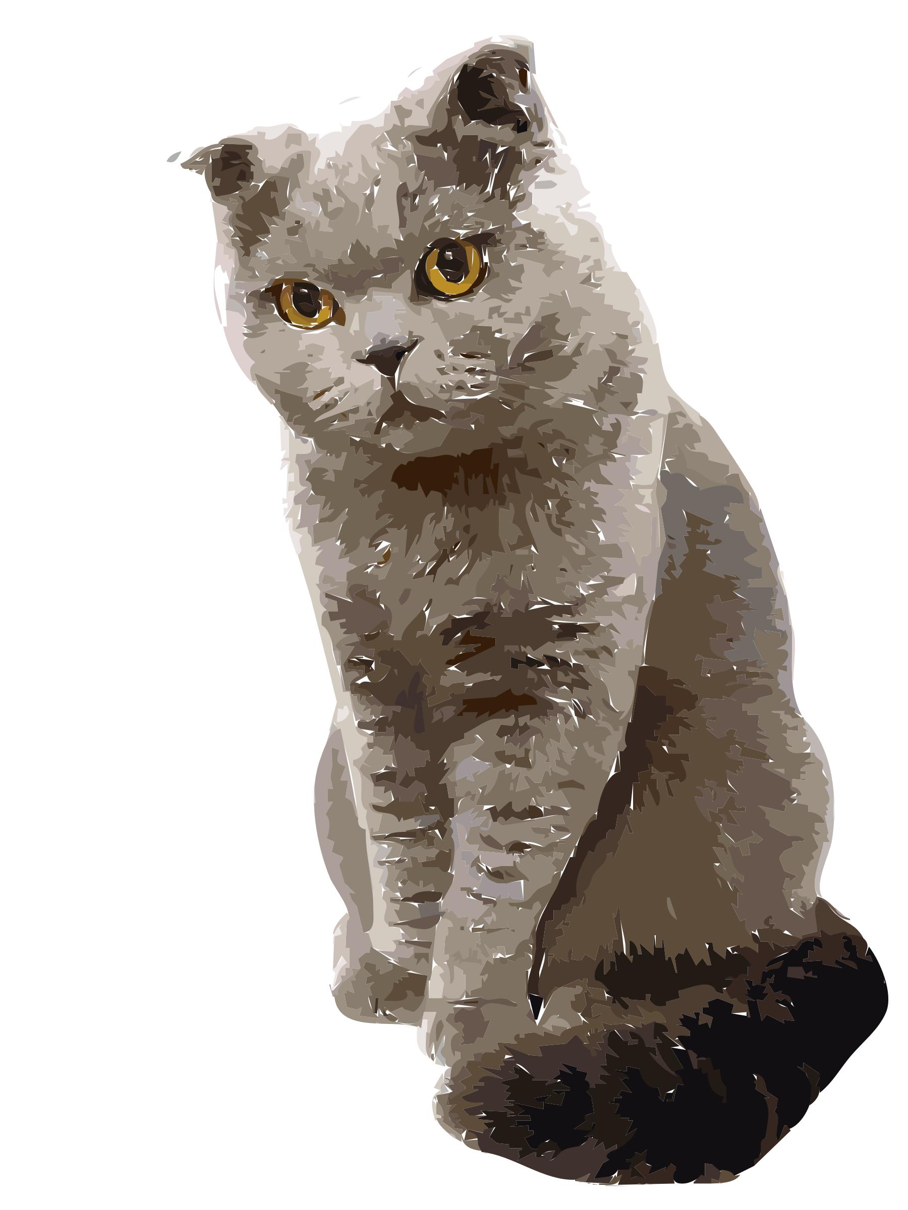 Chucky the Cat png