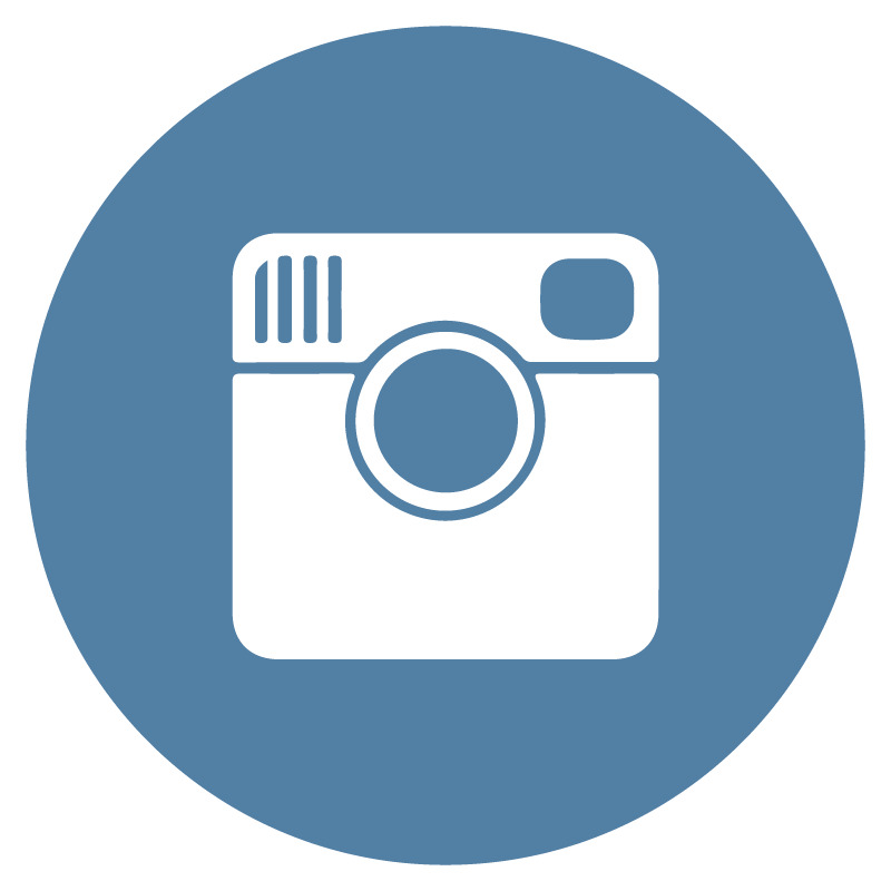 Circle Instagram Icon icons