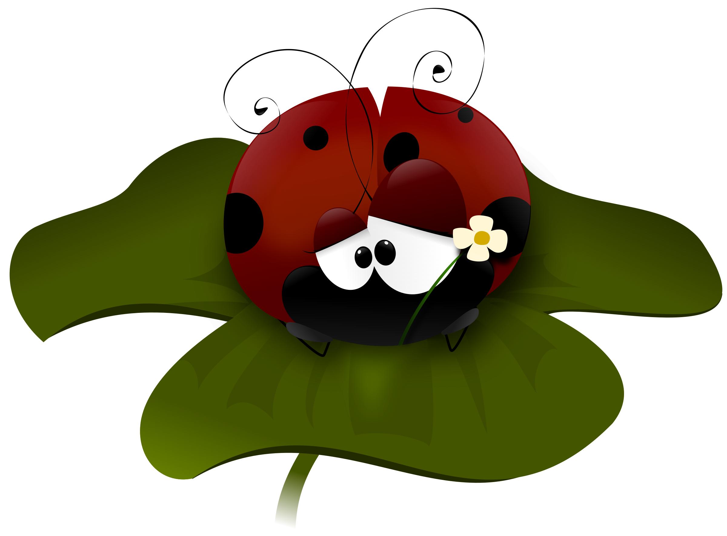 Coccinella Icons Png Free Png And Icons Downloads