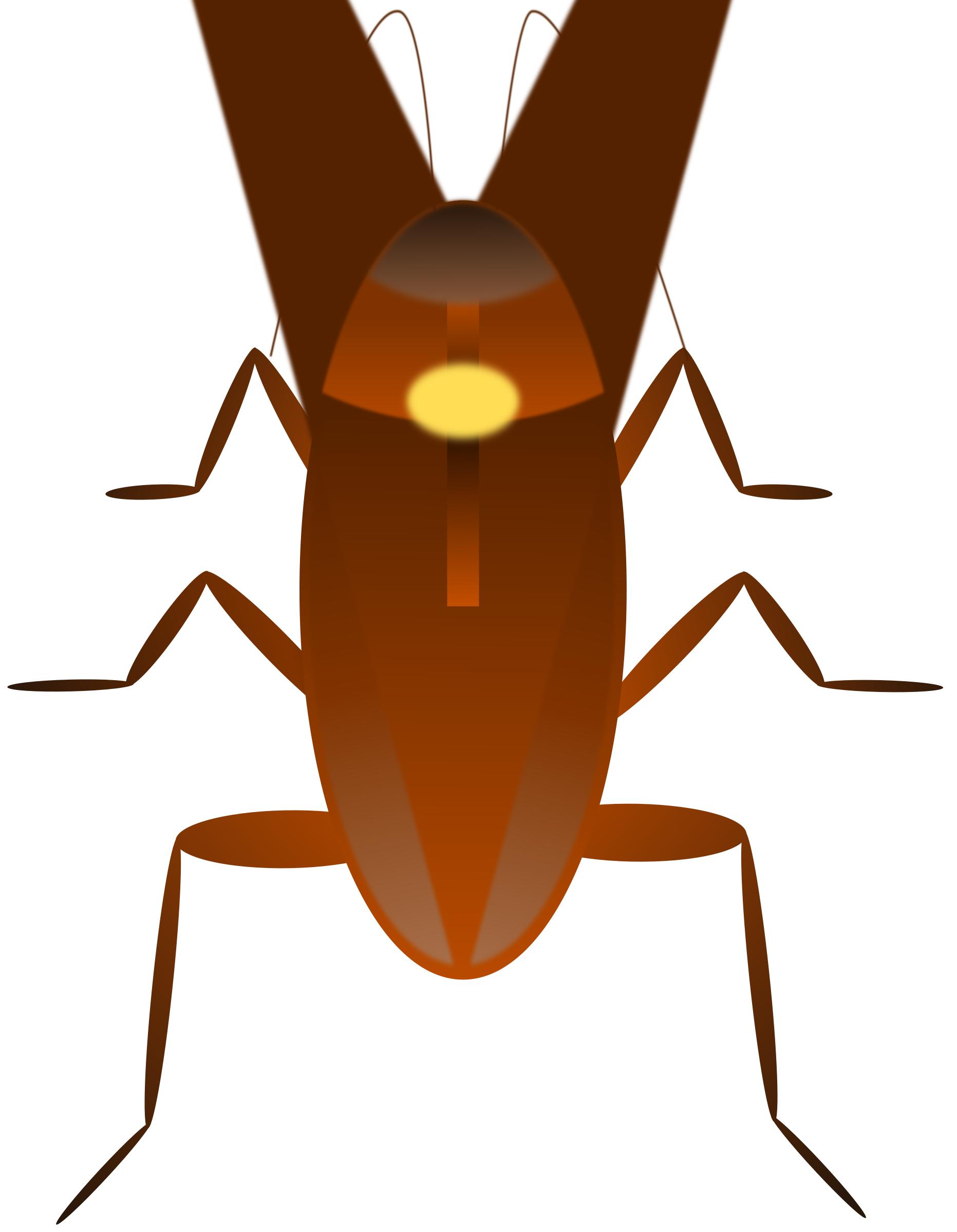 Cockroach. Cucaracha png